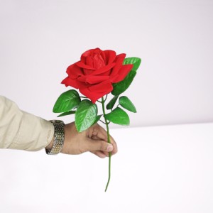 Valentine Rose Flower Gift